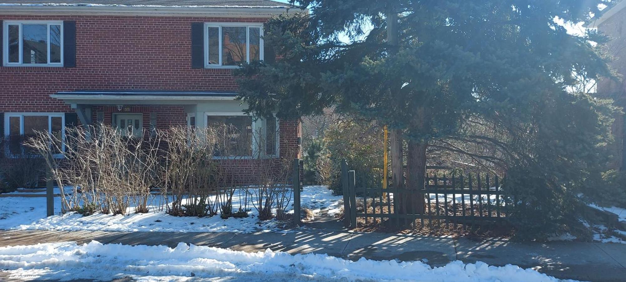 High Park Single Room With Personal Washroom And Kitchen Toronto Eksteriør bilde