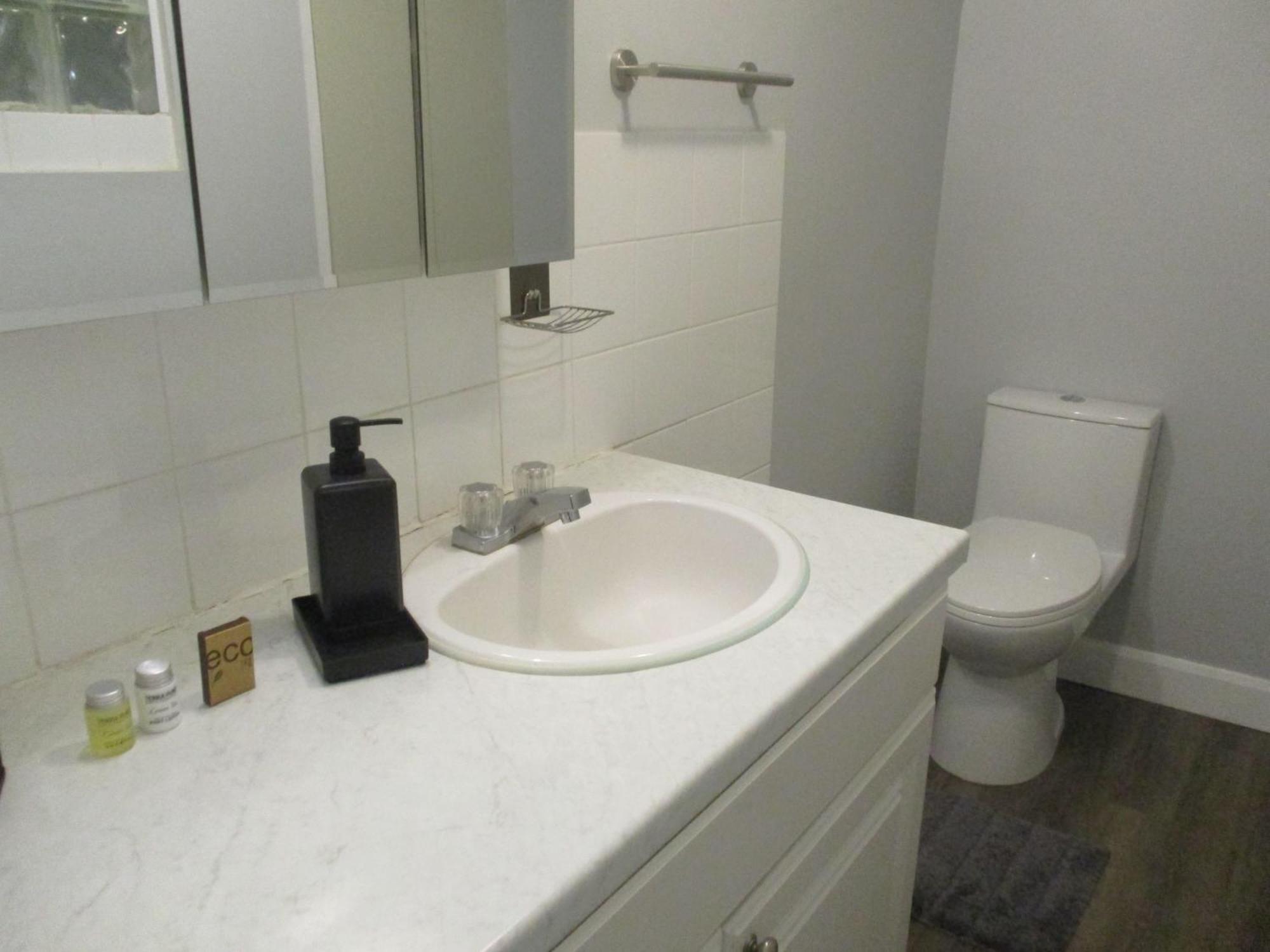 High Park Single Room With Personal Washroom And Kitchen Toronto Eksteriør bilde